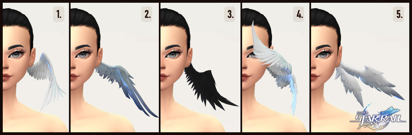 Wing Accessories